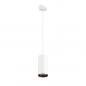 Preview: SLV 1004359 NUMINOS PD PHASE L Indoor LED Pendelleuchte weiß/schwarz 4000K 36°