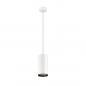 Preview: SLV 1005786 NUMINOS DALI XL Pendelleuchte weiß / schwarz 36W 3000K 24°