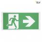 Preview: SLV 240009 P-LIGHT Emergency, standardsigns for areal light, green