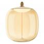 Preview: Osram E27 Vintage Lampe 1906 Big Oval Magnetic Amber dimmbar 12W wie 45W extra warmweißes Licht