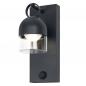 Preview: OSRAM ENDURA Style Cowbell IP65 Wall Sensor 6W Dark Grey Außenwandleuchte