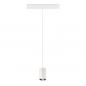 Preview: SLV 1006788 NUMINOS XS 48V TRACK DALI Pendelleuchte weiß / chrom 8.7W 730lm 3000K CRI90 20°
