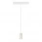 Preview: SLV 1006790 NUMINOS XS 48V TRACK DALI Pendelleuchte weiß / weiß 8.7W 700lm 3000K CRI90 40°