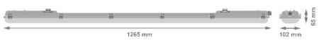 LEDVANCE DAMP PROOF HOUSING IP65 Leergehäuase für 2 Röhren 120cm IP65