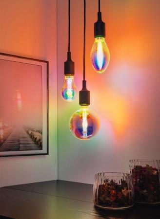 Paulmann 28774 LED G125 Fantastic Colors 470lm E27 dim 2700K