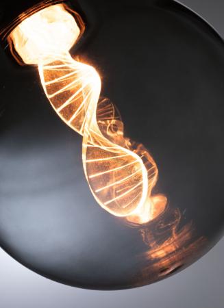 Paulmann 28882 Inner Glow Edition E27 LED Globe Helix  3,5W extra warmweiß Rauchglas