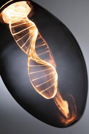 Paulmann 28883 Inner Glow Edition E27 retro vintage LED Birne Helix 3,5W extra warmweiß Rauchglas