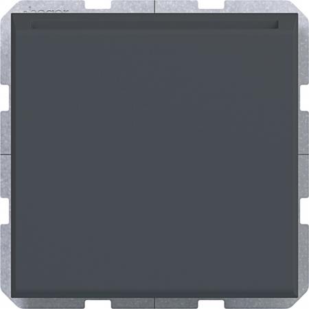 Hager Elek. Hotel-Card-Sch. A.x/C.x ant matt