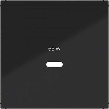 Hager Zentralst. f. USB-C PW Ax/Cx schw gl