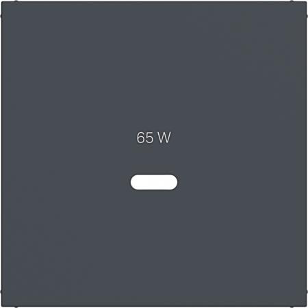 Hager Zentralst. f. USB-C PW Ax/Cx ant mt la
