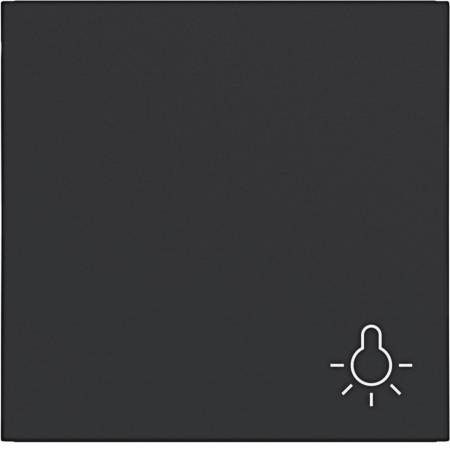 Hager WI 1f Aufdr. Licht Ax/Cx schwarz matt