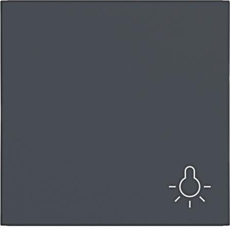 Hager WI 1f Aufdr. Licht Ax/Cx ant mt lackiert