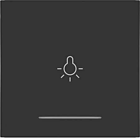 Hager WI 1f Aufdr. Licht Ax/Cx schwarz matt