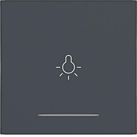 Hager WI 1f Aufdr. Licht Ax/Cx ant mt lackiert