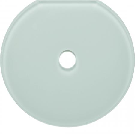 Hager Glas-Endplatte Schalter Serie Glas pw