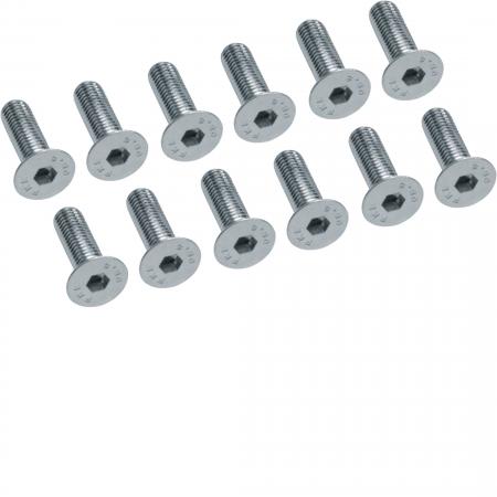 Hager Senkkopfschr. M12x 40mm, (12St)