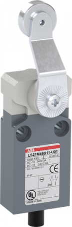 ABB LS21M46B11-U01 Positionsschalter Metall-Gehäuse IP67 Stahl-Rollenschwenkhebel verzinkt