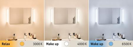 LED-Spiegellampe HomeSpa Luno mit WhiteSwitch-Funktion 39cm Aluminium Paulmann 78948