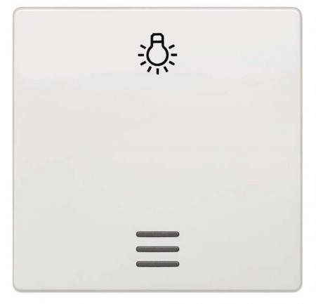 Siemens DELTA i-system Wippe 5TG6206 titanweiß mit Lichtsymbol Fenster 55x55mm
