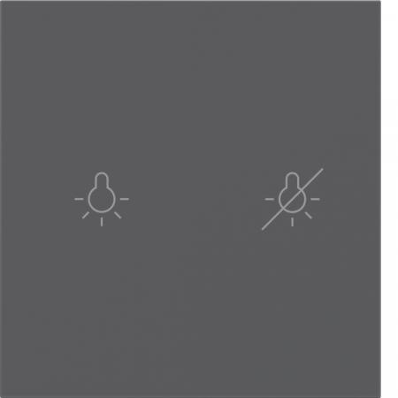Berker 81181186 Tasten f.Tast.modul,1f,S.x/B.x,ant,be