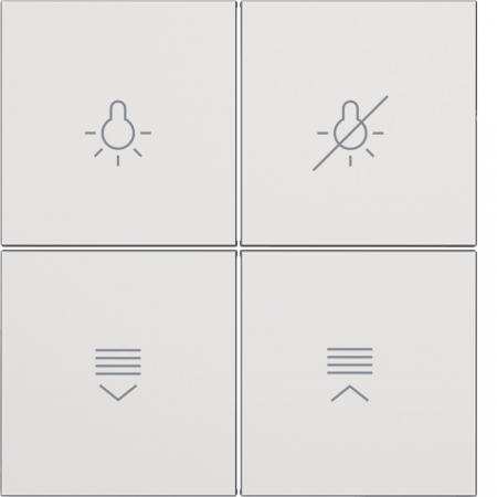 Berker 81182189 Tasten f.Tast.modul,4f,S.x/B.x,pw m,be