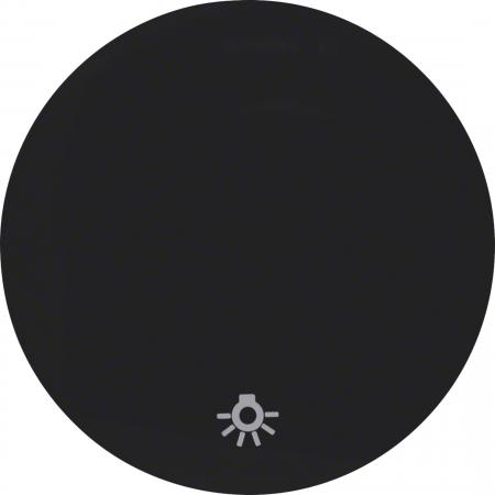Berker 16202035 Wippe mit Aufdr Symbol Licht R.1/R.3 sw