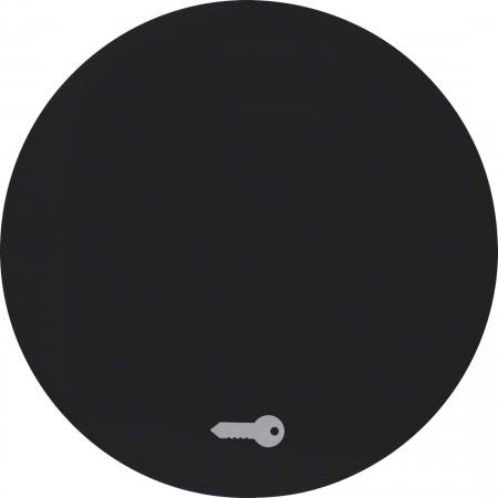Berker 16202015 Wippe mit Aufdr Symbol Tür R.1/R.3 sw