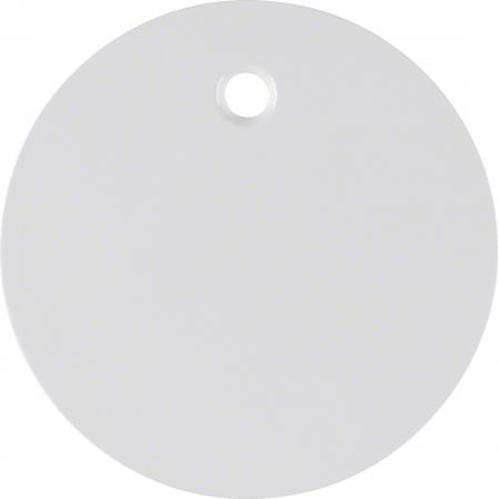 Berker 11462089 Zentralstück f Zugsch/tast R.1/R.3 pw