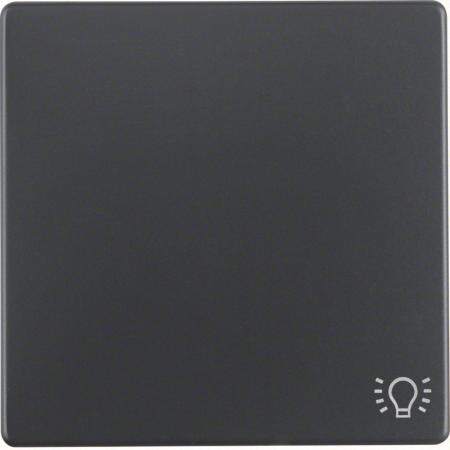 Berker 16206046 Wippe mit Aufdr Symbol Licht Q.x ant