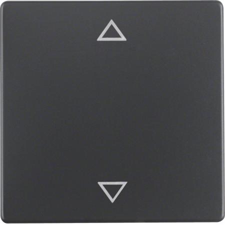 Berker 16206076 Wippe mit Aufdr Symbol Pfeile Q.x ant