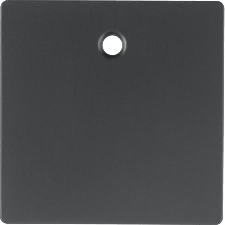 Berker 11466086 Zentralstück f Zugsch/tast Q.x anth