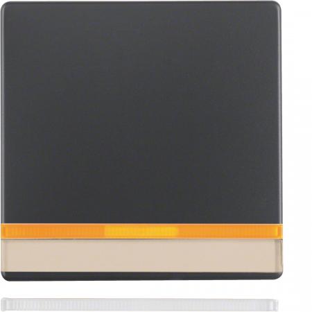 Berker 16286086 Wippe m 2 Linsen u Beschrift.Q.x ant