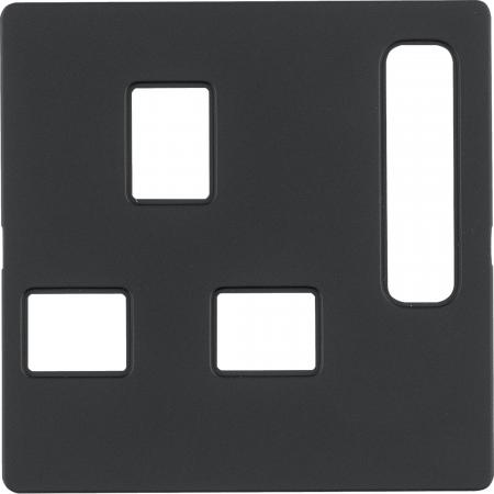 Berker 3313076086 Zentralstück British-Standard Q.x anth
