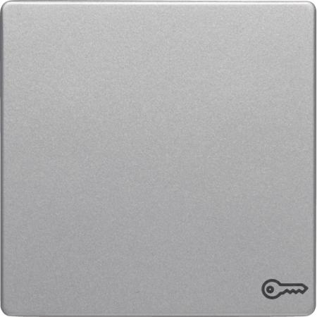 Berker 16206064 Wippe mit Aufdr Symbol Tür Q.x alu