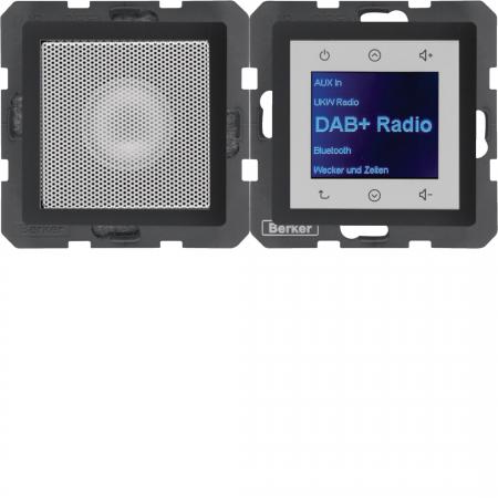 Berker 29806086 Radio mit Lautspr. DAB+ Q.x anth.
