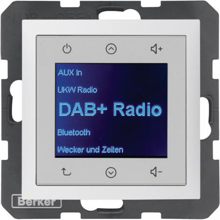Berker 29849909 Radio DAB+ S1/B..x pw. matt