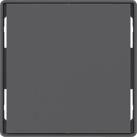 Berker 81181026 Tasten f.Tast.modul,1f,Q.x,ant
