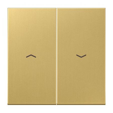 JUNG ME 2995 P C Wippe 2fach mit Pfeilsymbolen Serie LS Messing classic