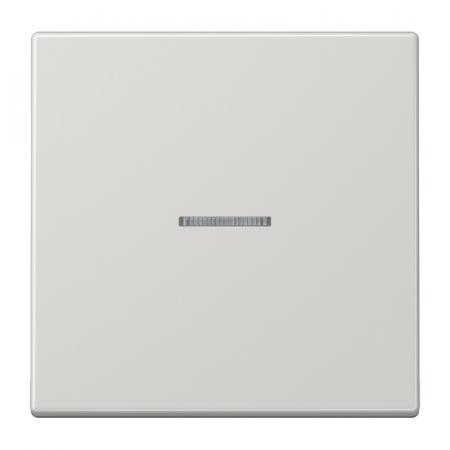 JUNG HOME BT LS 17101 LG Taster 1fach, mit Lichtleiter, lichtgrau