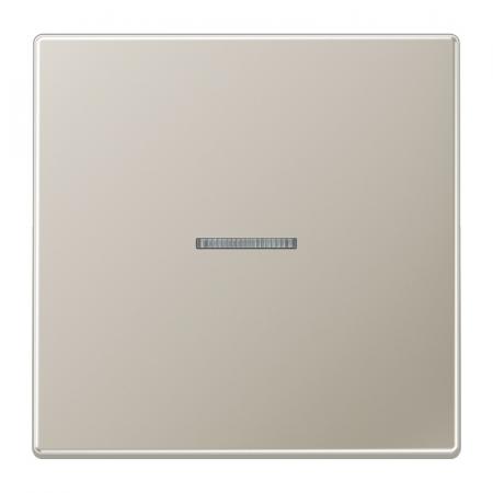 JUNG HOME BT ES 17101 Taster 1fach, mit Lichtleiter, Edelstahl