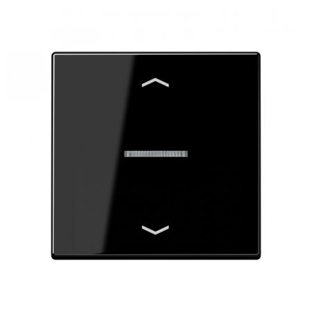 JUNG HOME BT A 17101 P SW Taster 1fach, mit Pfeilsymbolen und Lichtleiter, schwarz