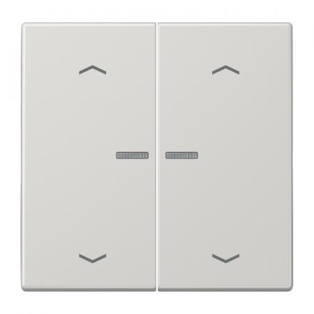 JUNG HOME Taster 2fach mit Pfeilsymbolen und Lichtleiter, Serie LS, lichtgrau, Bluetooth Mesh