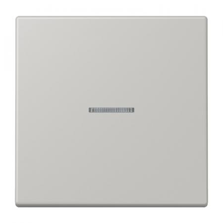 JUNG HOME Taster 1fach mit Lichtleiter, Serie LS, gris clair 31, Bluetooth Mesh