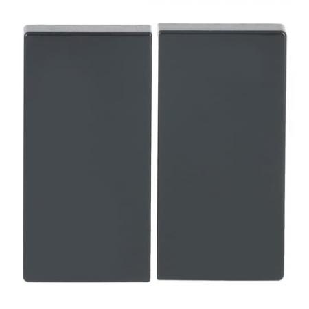 BUSCH-JAEGER 6736 FoH-81 Wippe für Smart Switch 2-fach anthrazit - Plattform 63