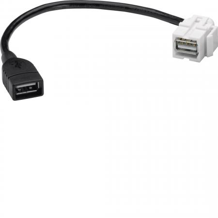 Hager Keystone Einsatz USB2 Typ A