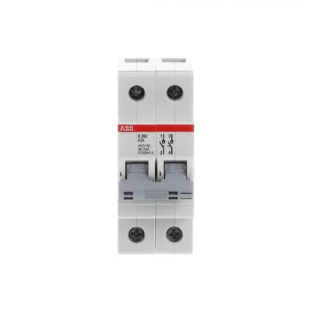 ABB E202/63G Trennschalter 2P, 63 A, Schaltgriff grau, Änderung Ursprung + Gebrauchskategorie