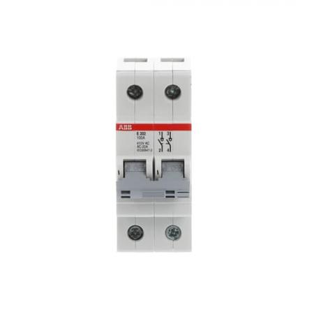 ABB E202/100G Trennschalter 2P, 100 A Schaltgriff grau, Änderung Ursprung + Gebrauchskategorie