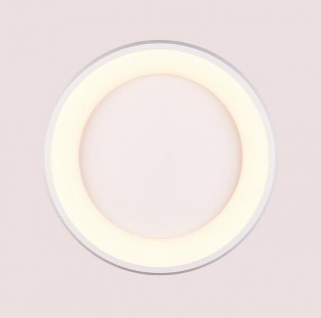 Trio LED Deckenleuchte CARDONA 2300+3000+4000K - warmes bis neutralweißes Licht - 649614531