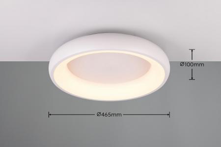 Trio LED Deckenleuchte CARDONA 2300+3000+4000K - warmes bis neutralweißes Licht - 649614531