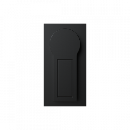 ABB AR831004 Handgriff ARIA mit Schloss 2432E, 2 Schlüssel